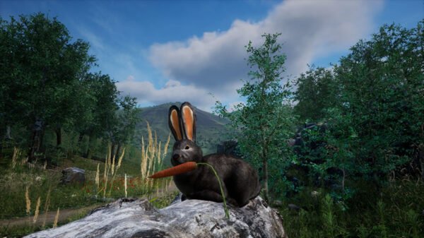 بازی Rabbit Meado-2