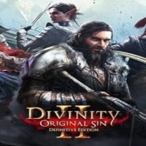 بازی Divinity Original Sin 2